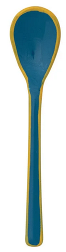 Enameled Stainless Steel Salt Spoon with Colored Edge