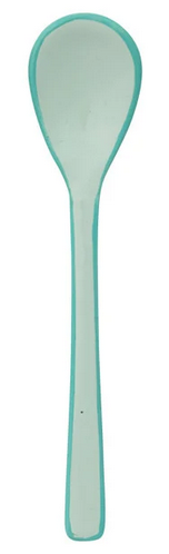 Enameled Stainless Steel Salt Spoon with Colored Edge