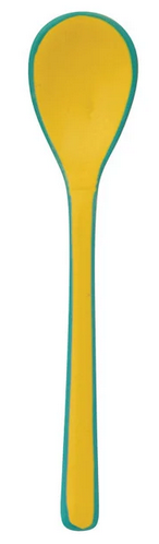 Enameled Stainless Steel Salt Spoon with Colored Edge