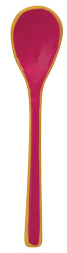 Enameled Stainless Steel Salt Spoon with Colored Edge