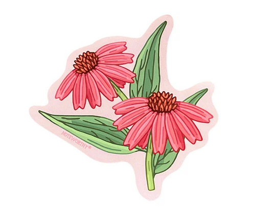 Coneflower Sticker