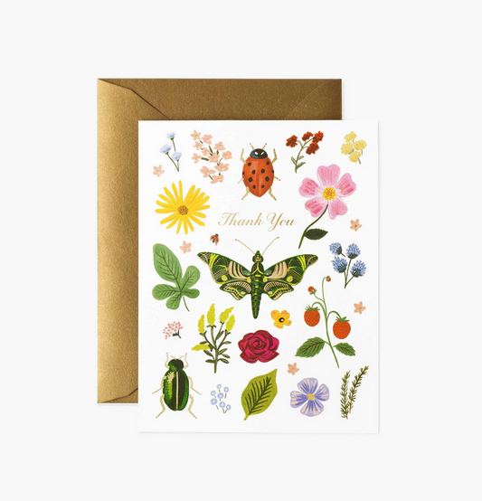 Boxed Set of Curio Thank You Cards
