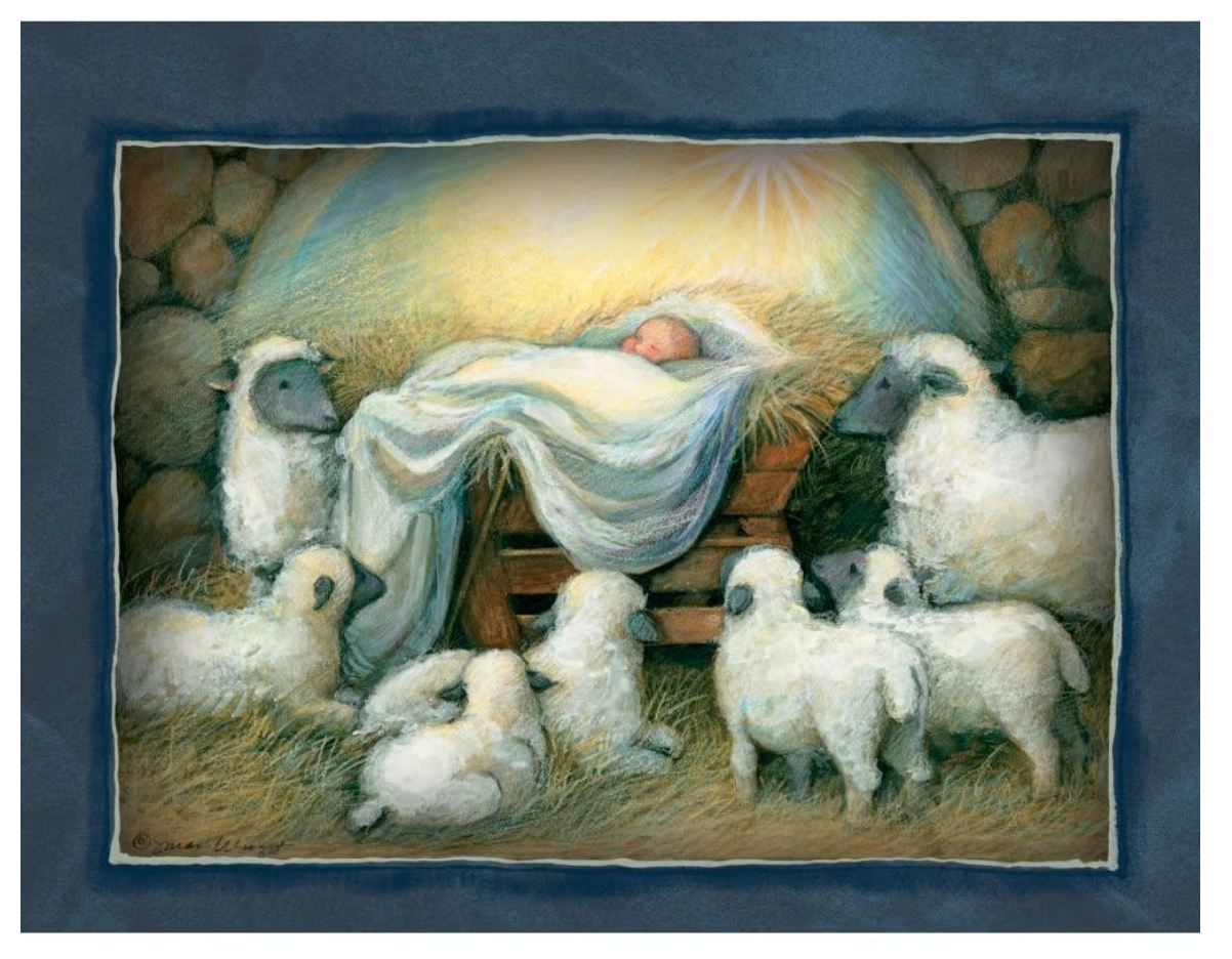 Nativity Assorted Boxed Christmas Cards