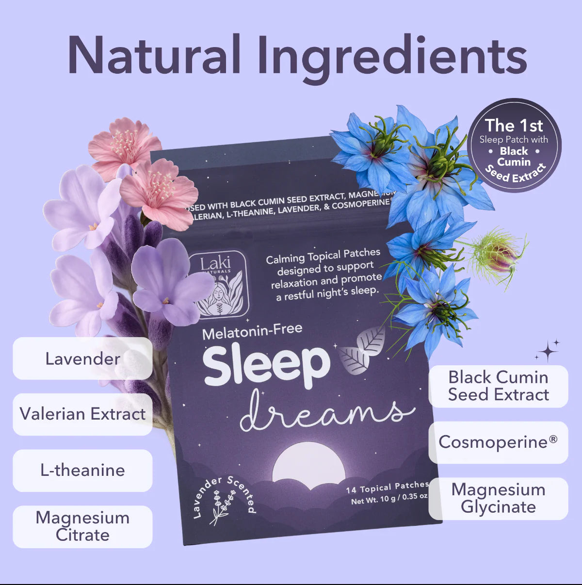 Sleep Dreams Patch
