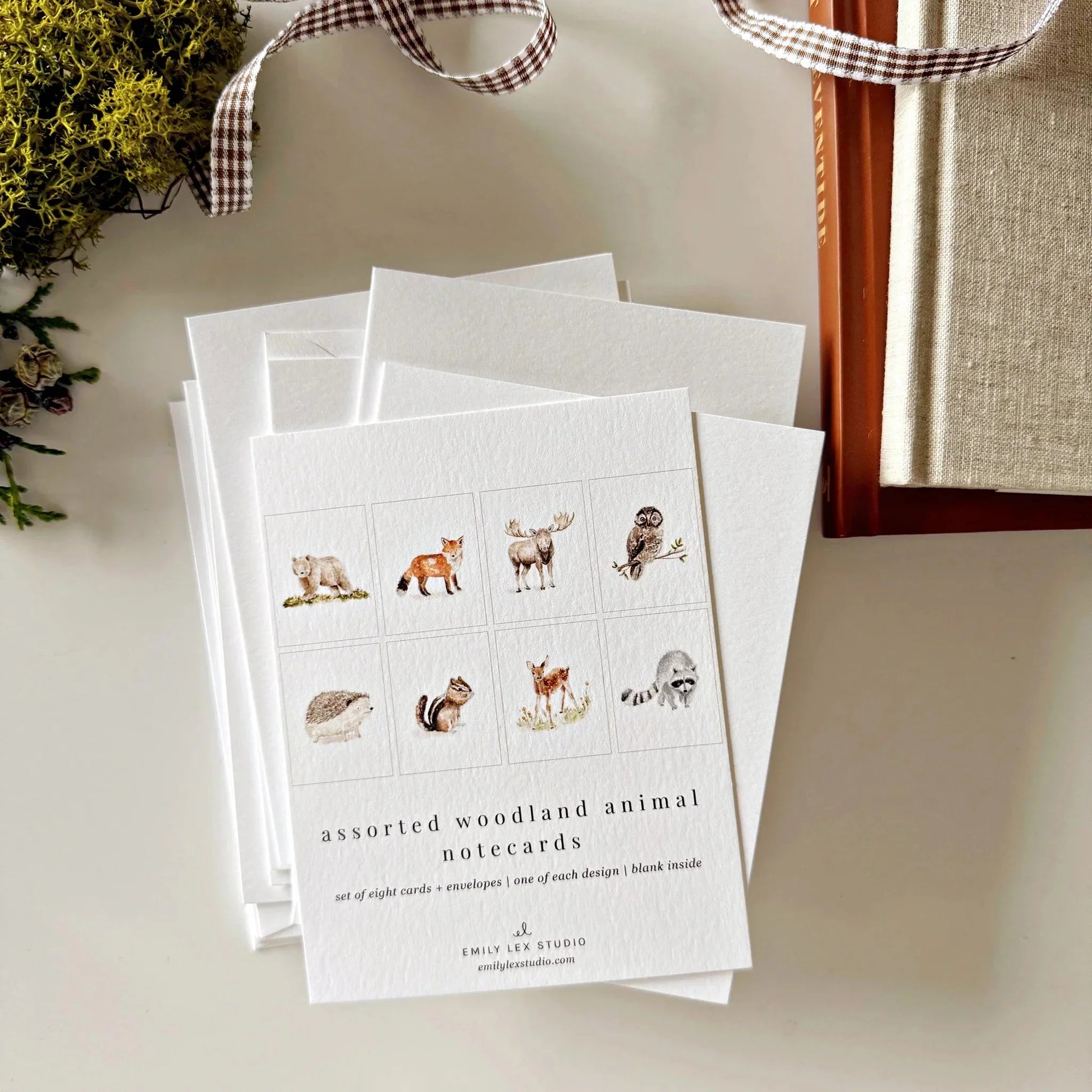 Woodland Animals Assorted Notecard Set