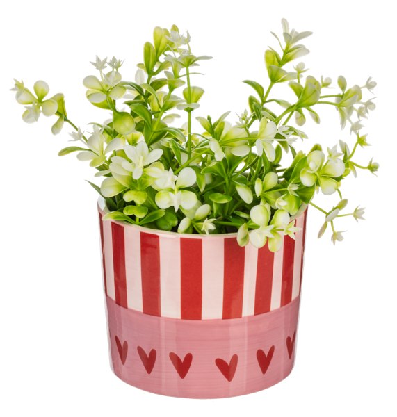 Heart & Stripe Planter