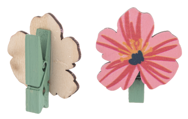 Flower & Bow Clips