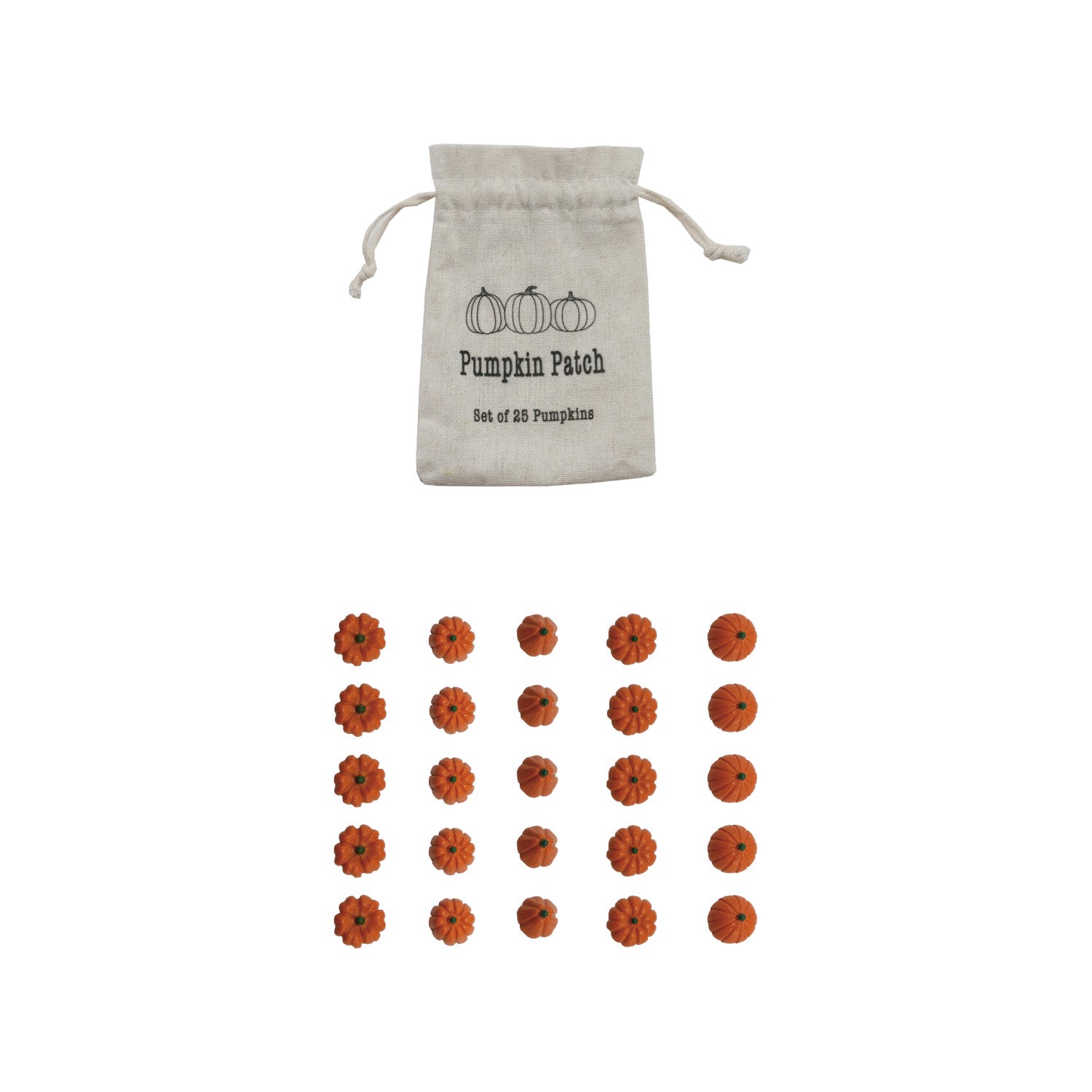 Resin Pumpkins in Printed Drawstring Bag
