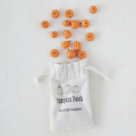 Resin Pumpkins in Printed Drawstring Bag