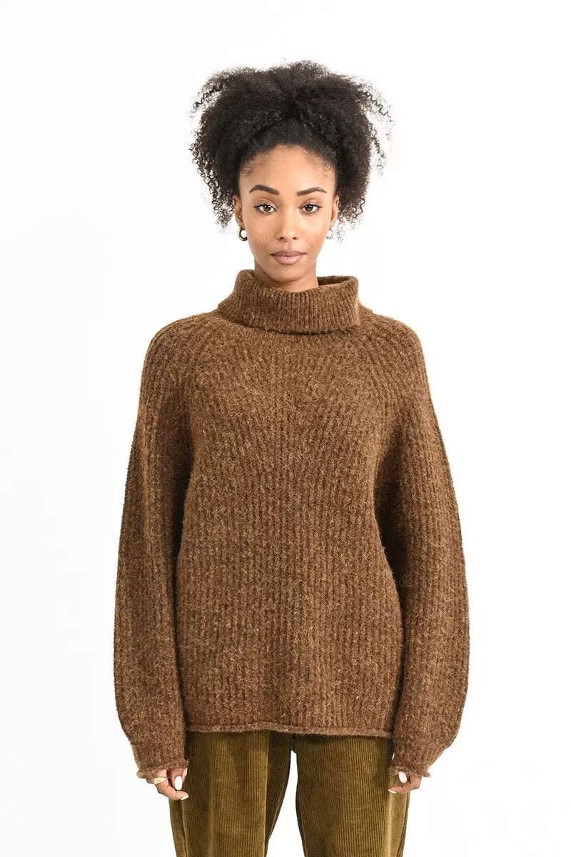 Molly Bracken Chunky Turtleneck Sweater