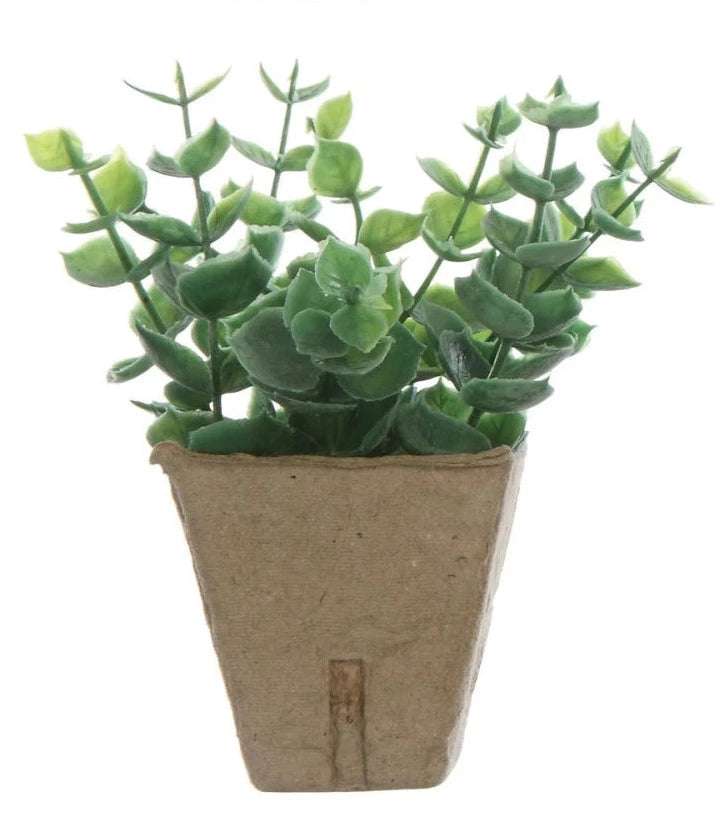 Faux Plants In Paper Pots