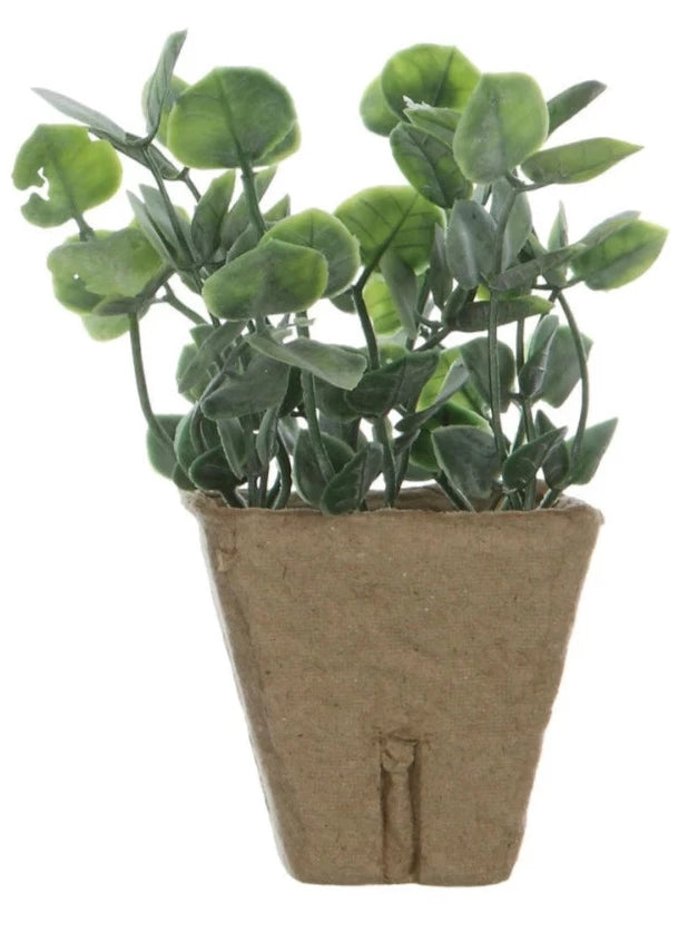 Faux Plants In Paper Pots