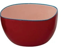 Enameled Stainless Steel Bowl with Colored Edge