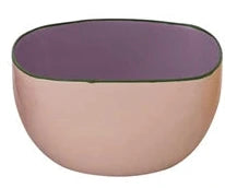Enameled Stainless Steel Bowl with Colored Edge