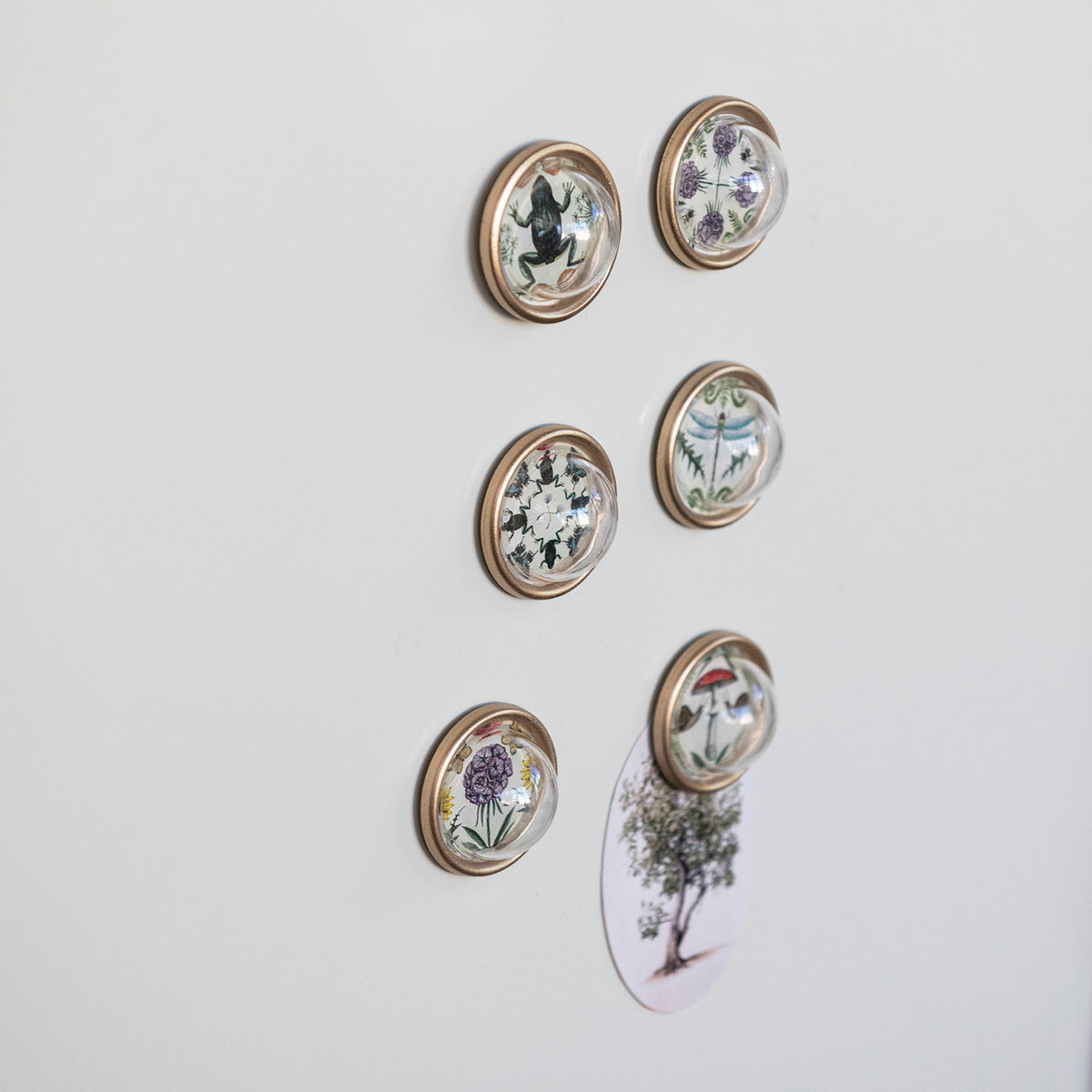 Resin Convex Magnets