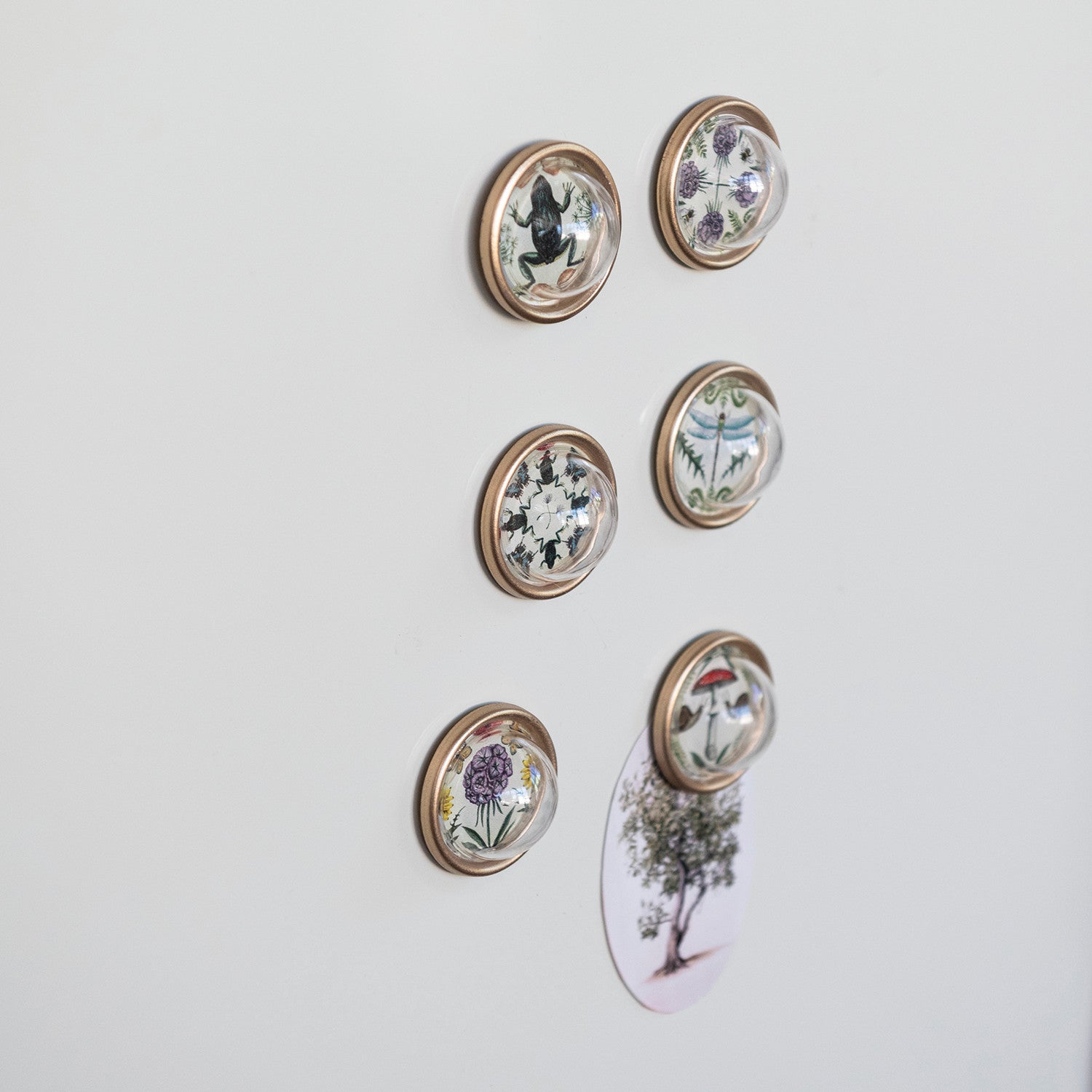 Resin Convex Magnets