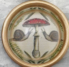 Resin Convex Magnets