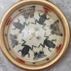 Resin Convex Magnets
