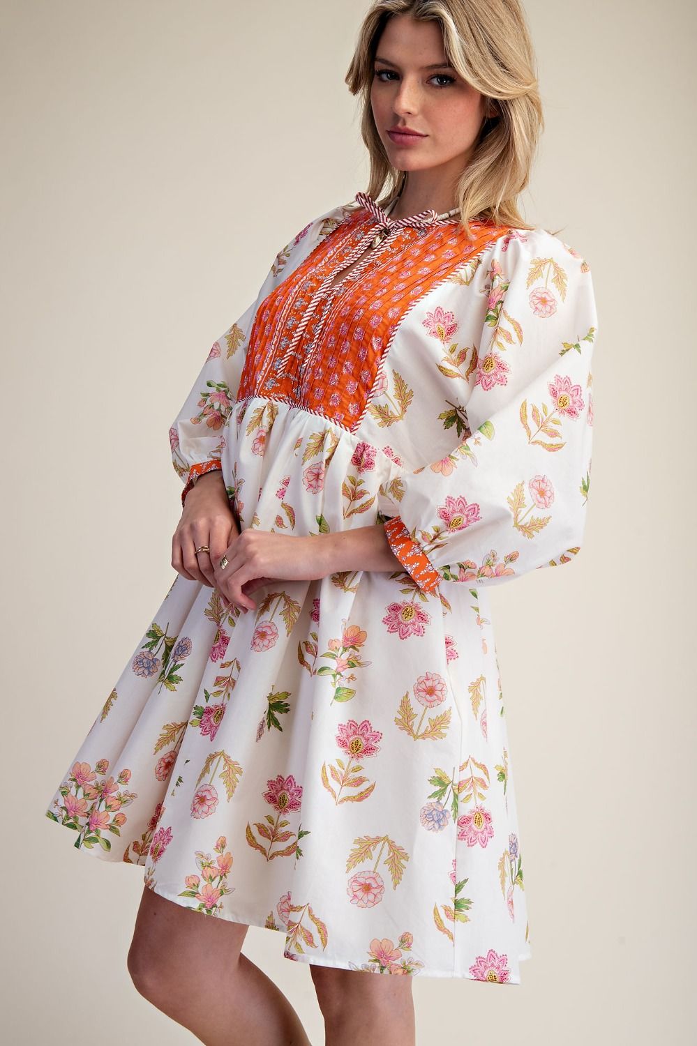 Easel Printed Poplin Dress