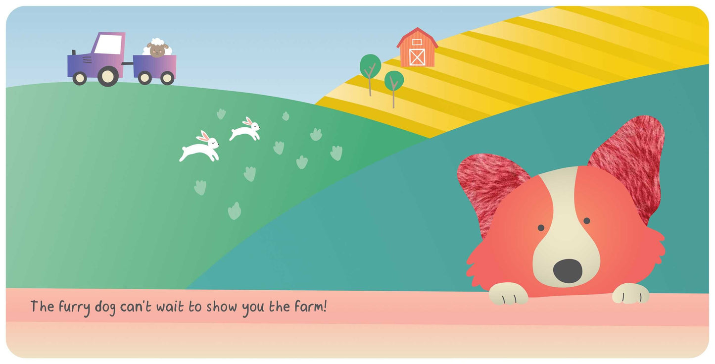 Farm Animals: My First Touch & Feel Book