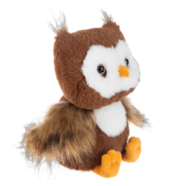Autumn Hoot Owl