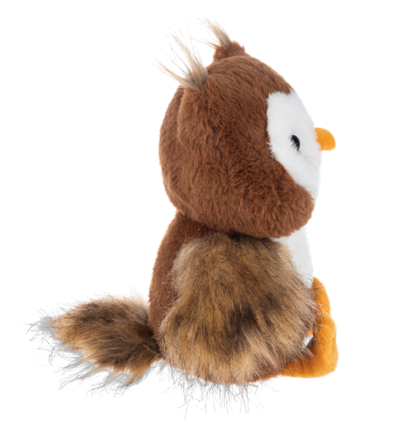 Autumn Hoot Owl