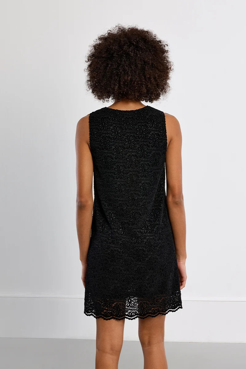 Molly Bracken Embroidered Velvet Mini Dress
