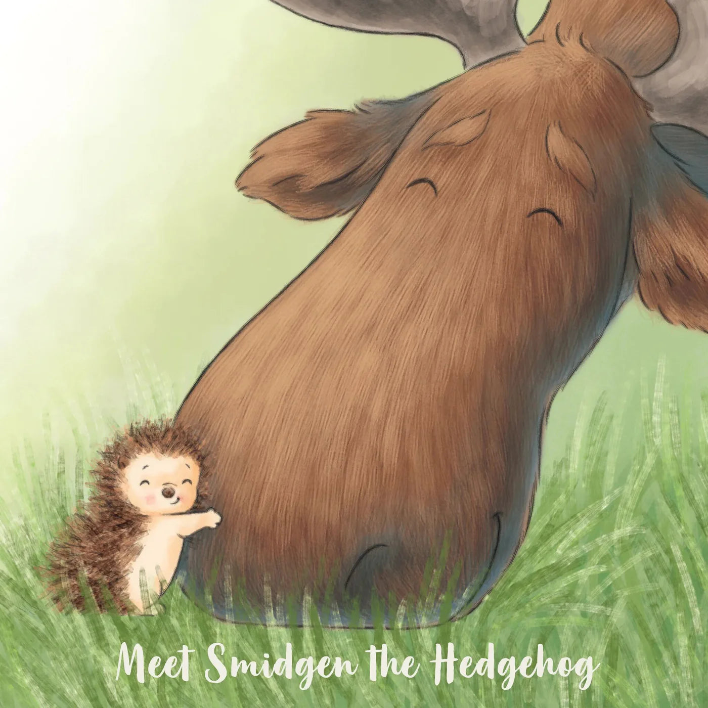 Smidgen and Bruce A Big Friendship - Board Book