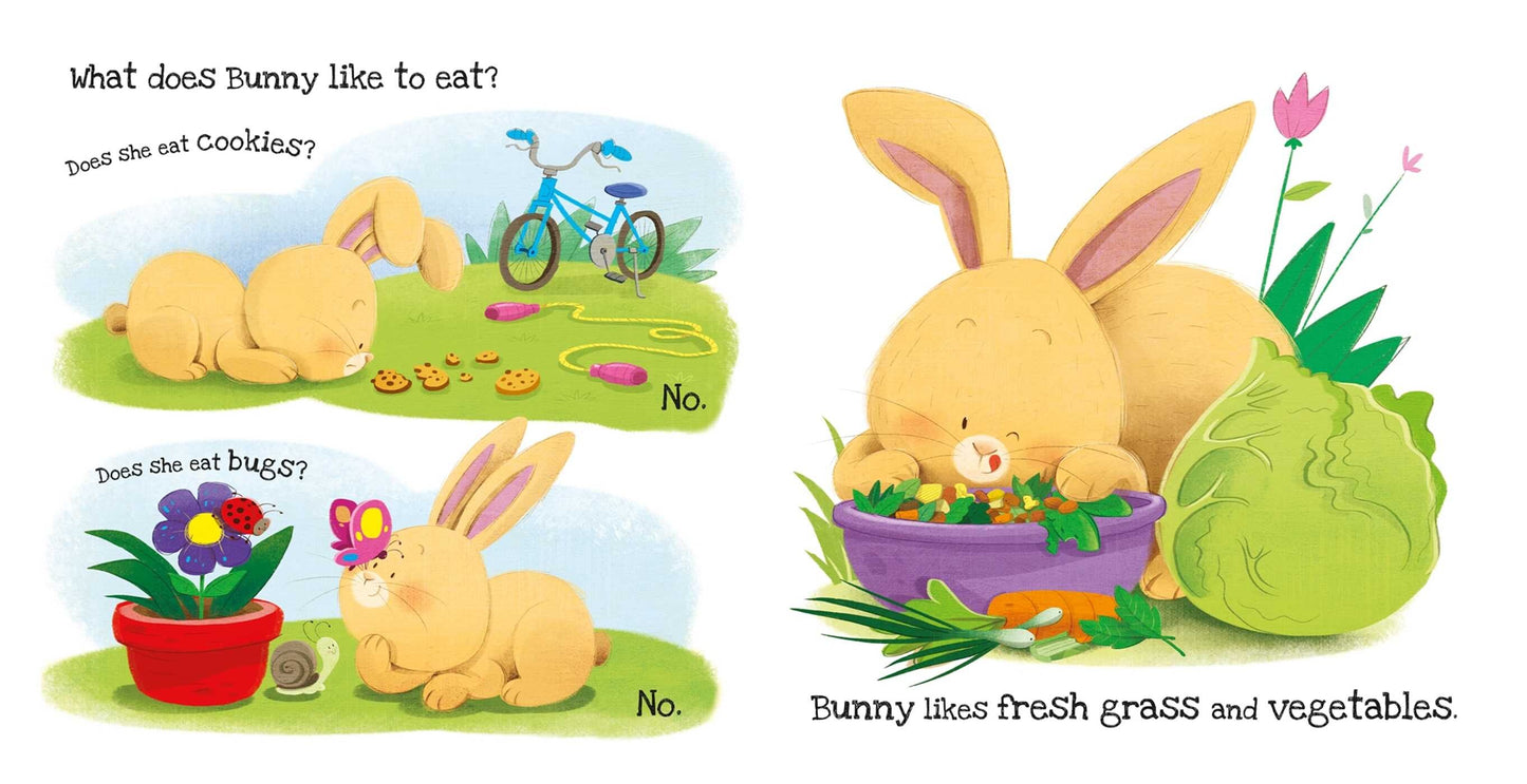 What Does Bunny Like? Touch & Feel Board Book
