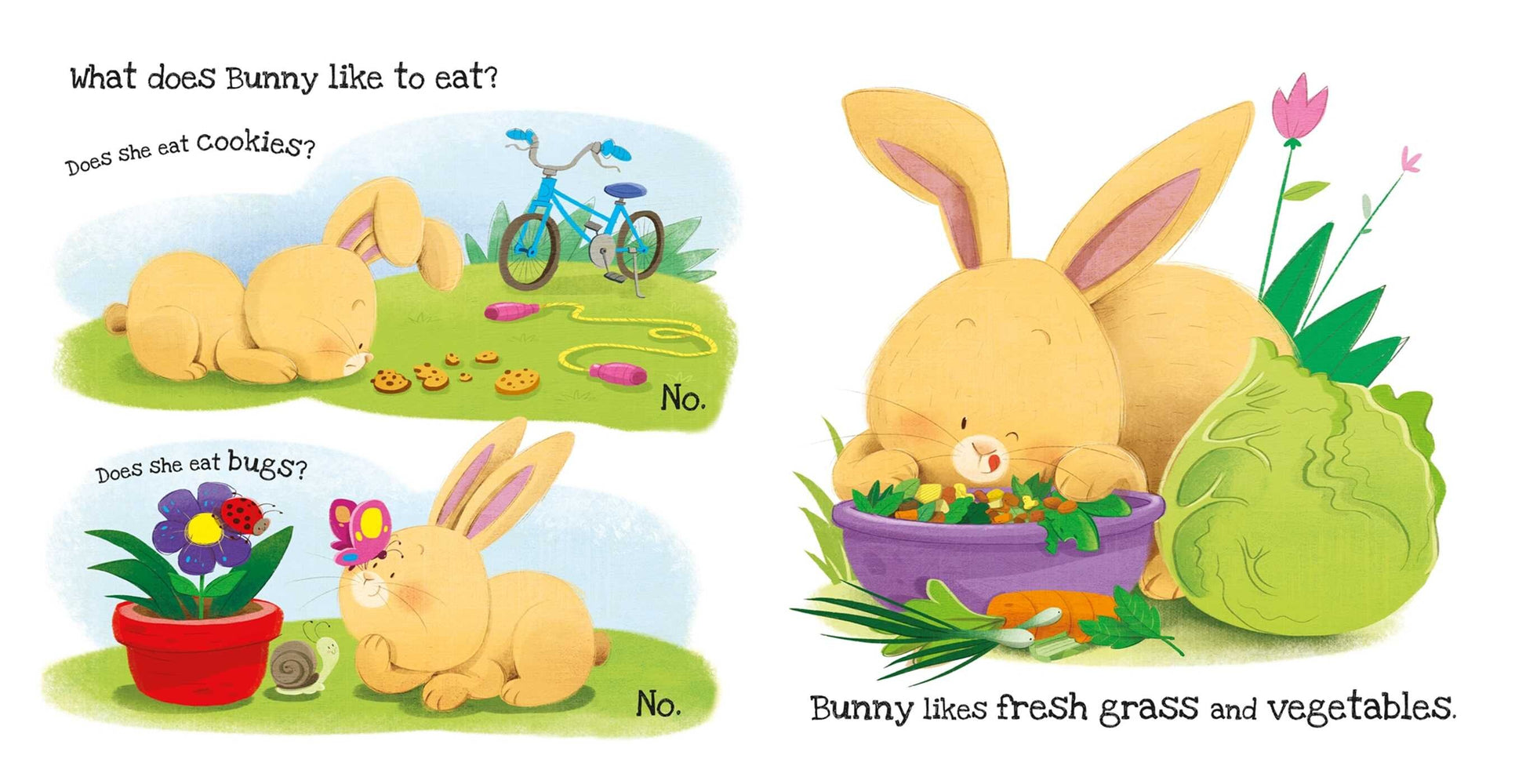 What Does Bunny Like? Touch & Feel Board Book