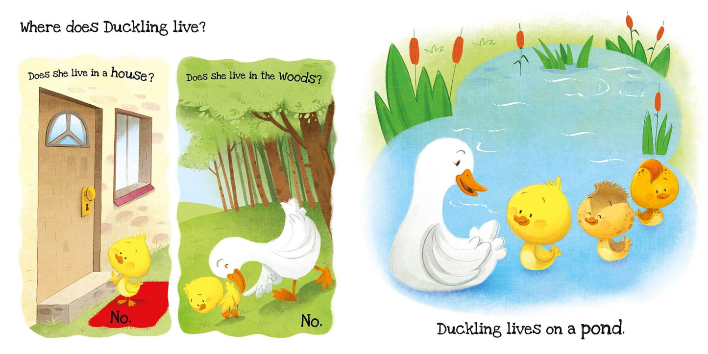 What Does Duckling Like? Touch & Feel Board Book