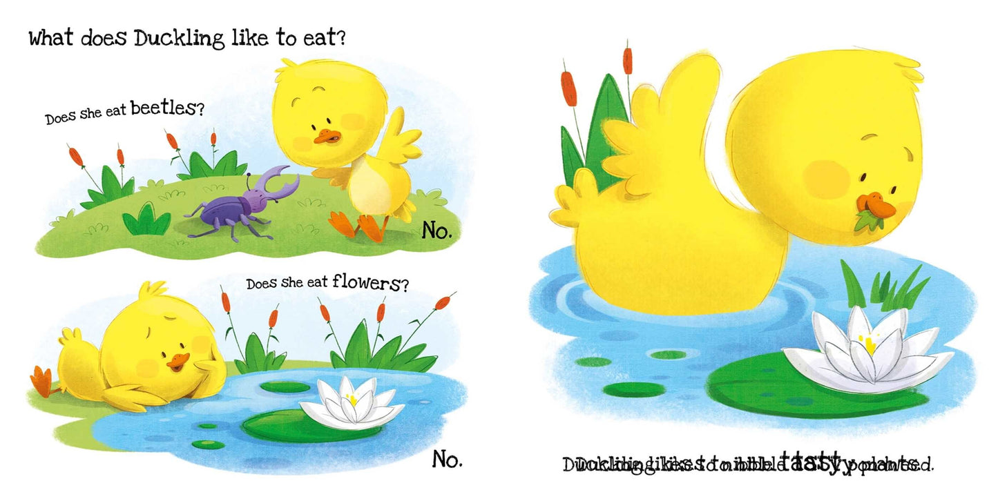 What Does Duckling Like? Touch & Feel Board Book