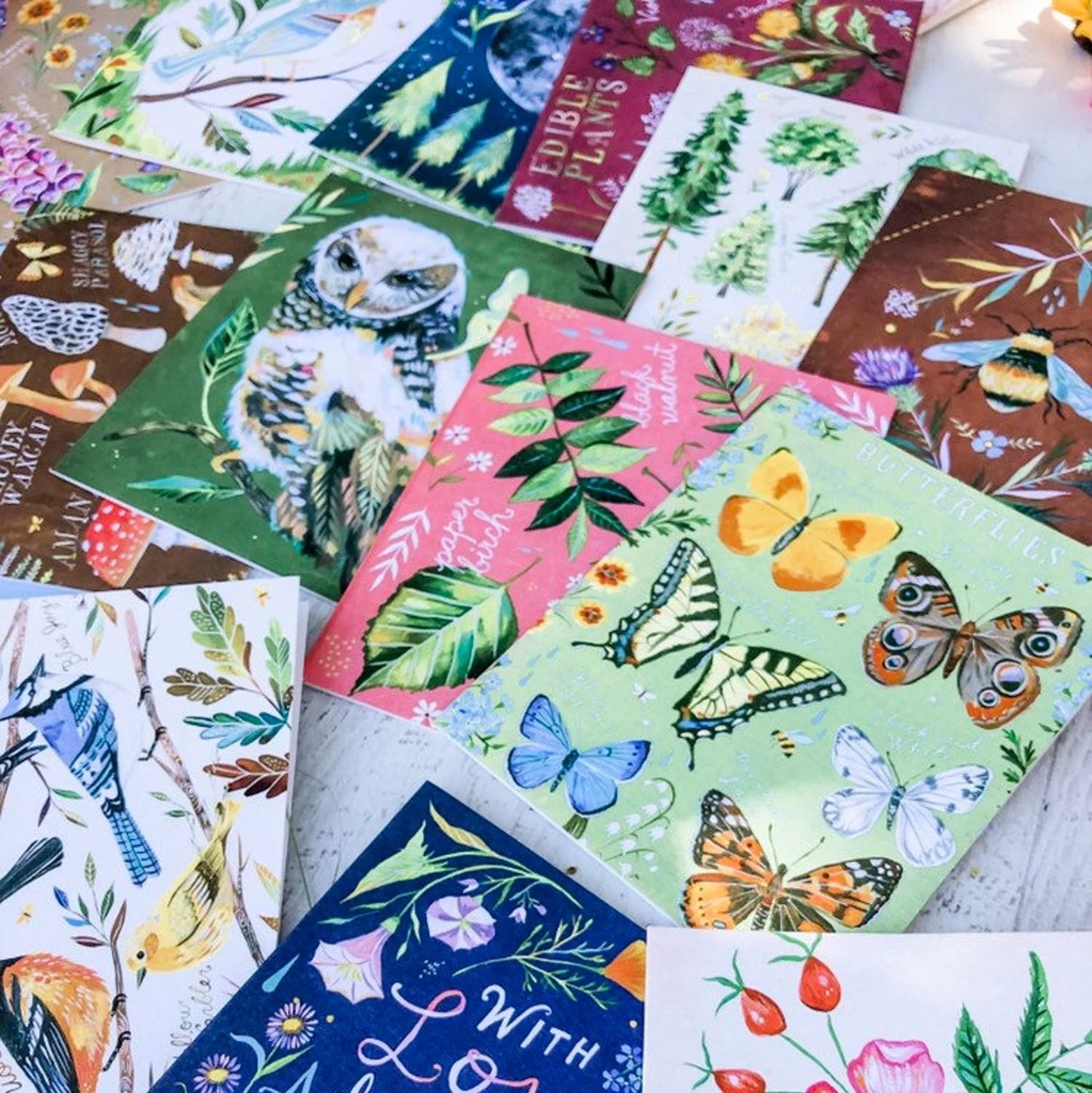 With Love, Adventure, and Wildflowers Notes