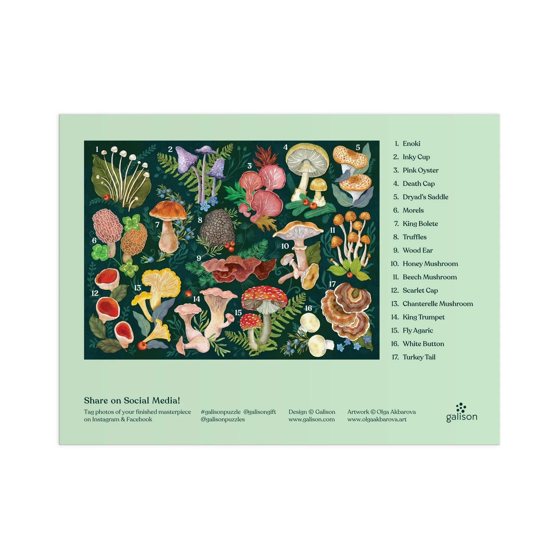 World Of Mushrooms Puzzle