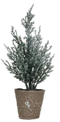 Faux Evergreen Tree in Paper Pot