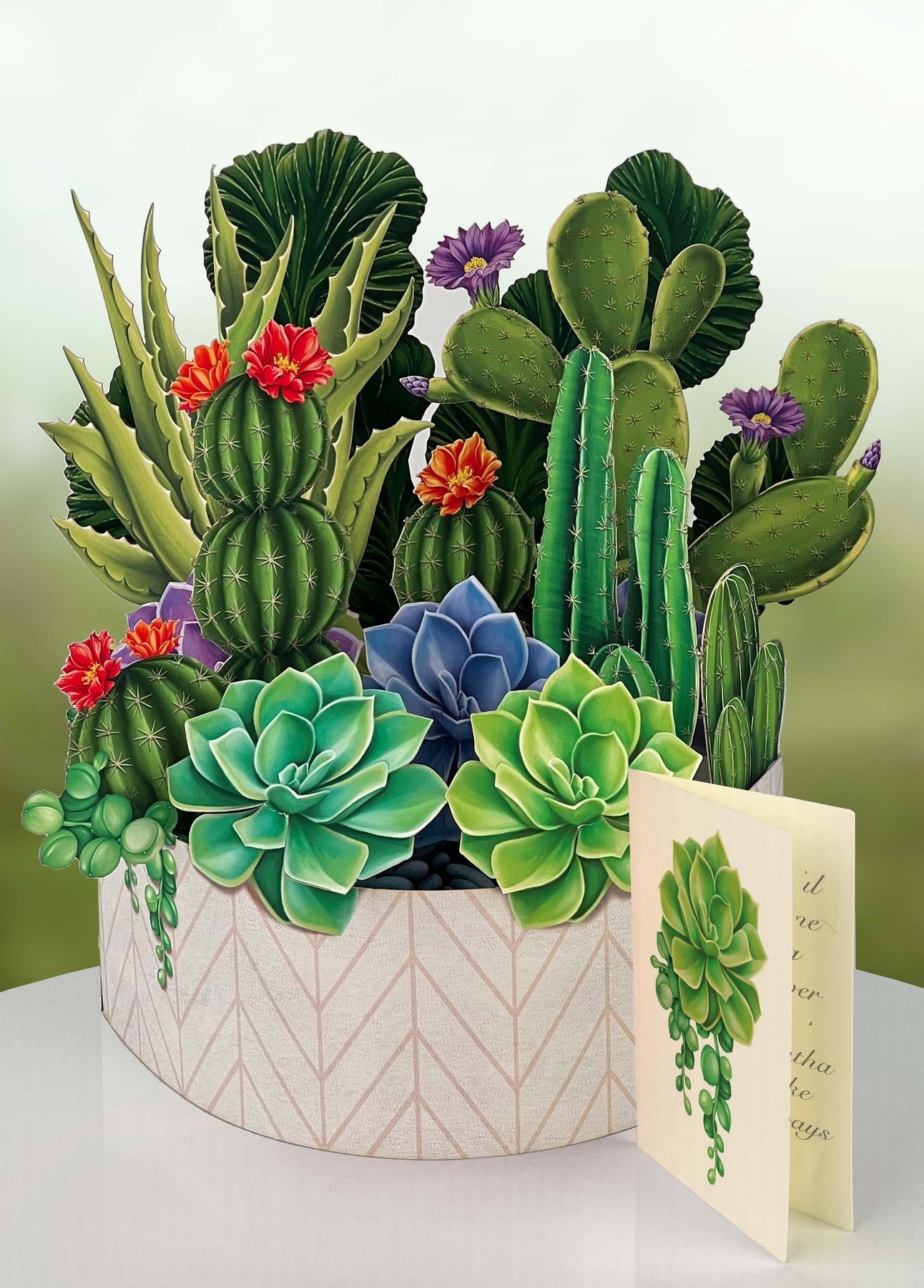 Fresh Cut Paper Bouquets Cactus Garden