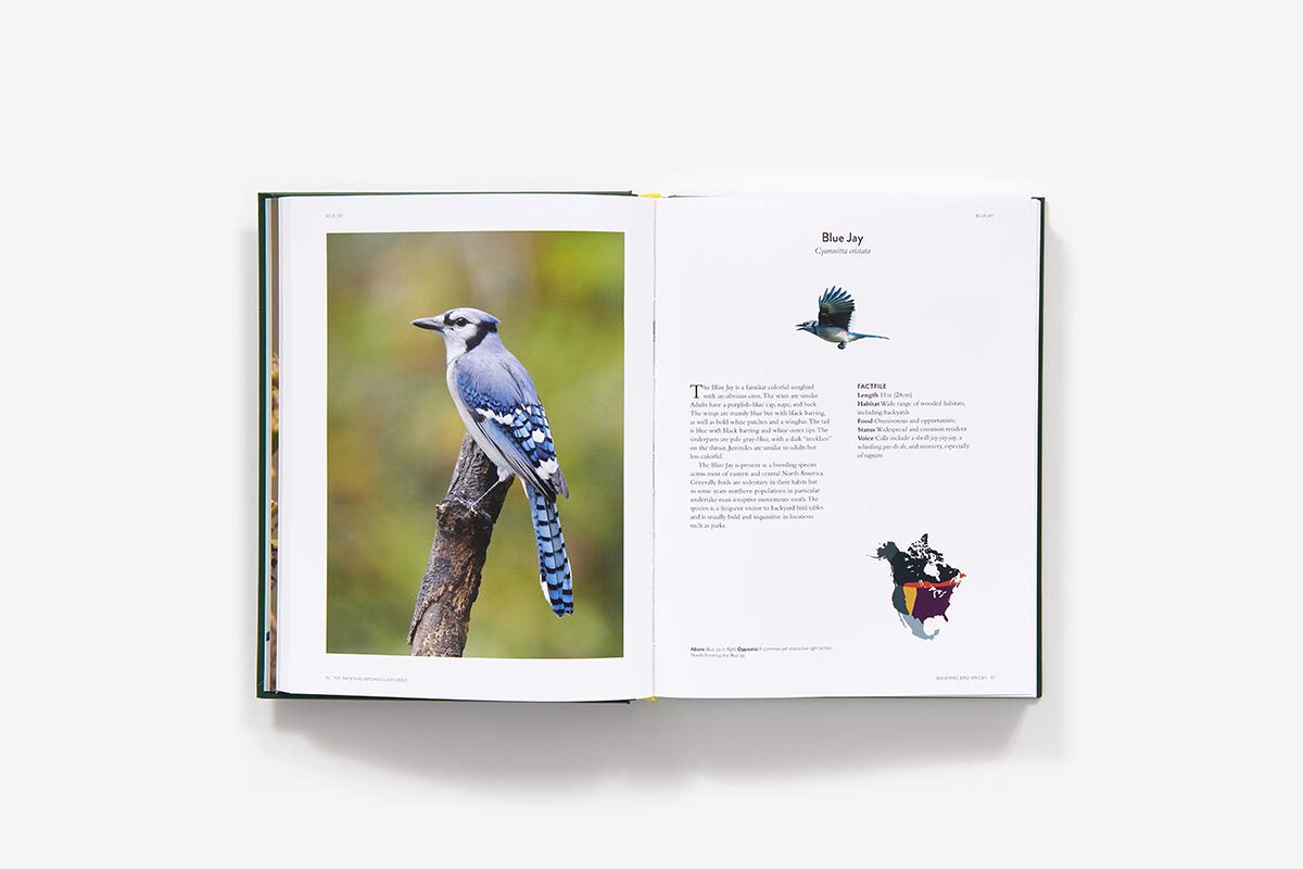 The Backyard Birdwatchers Bible