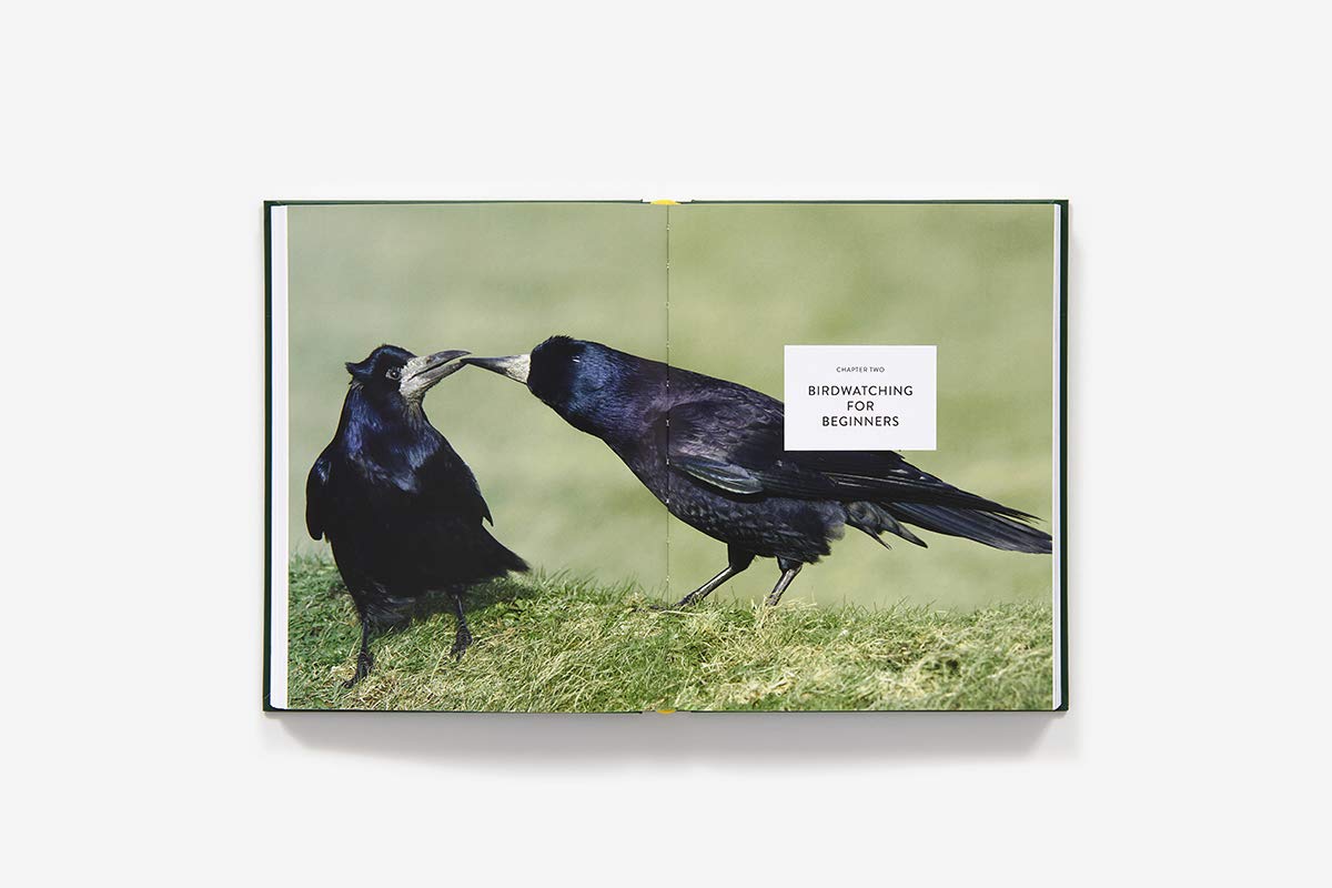The Backyard Birdwatchers Bible