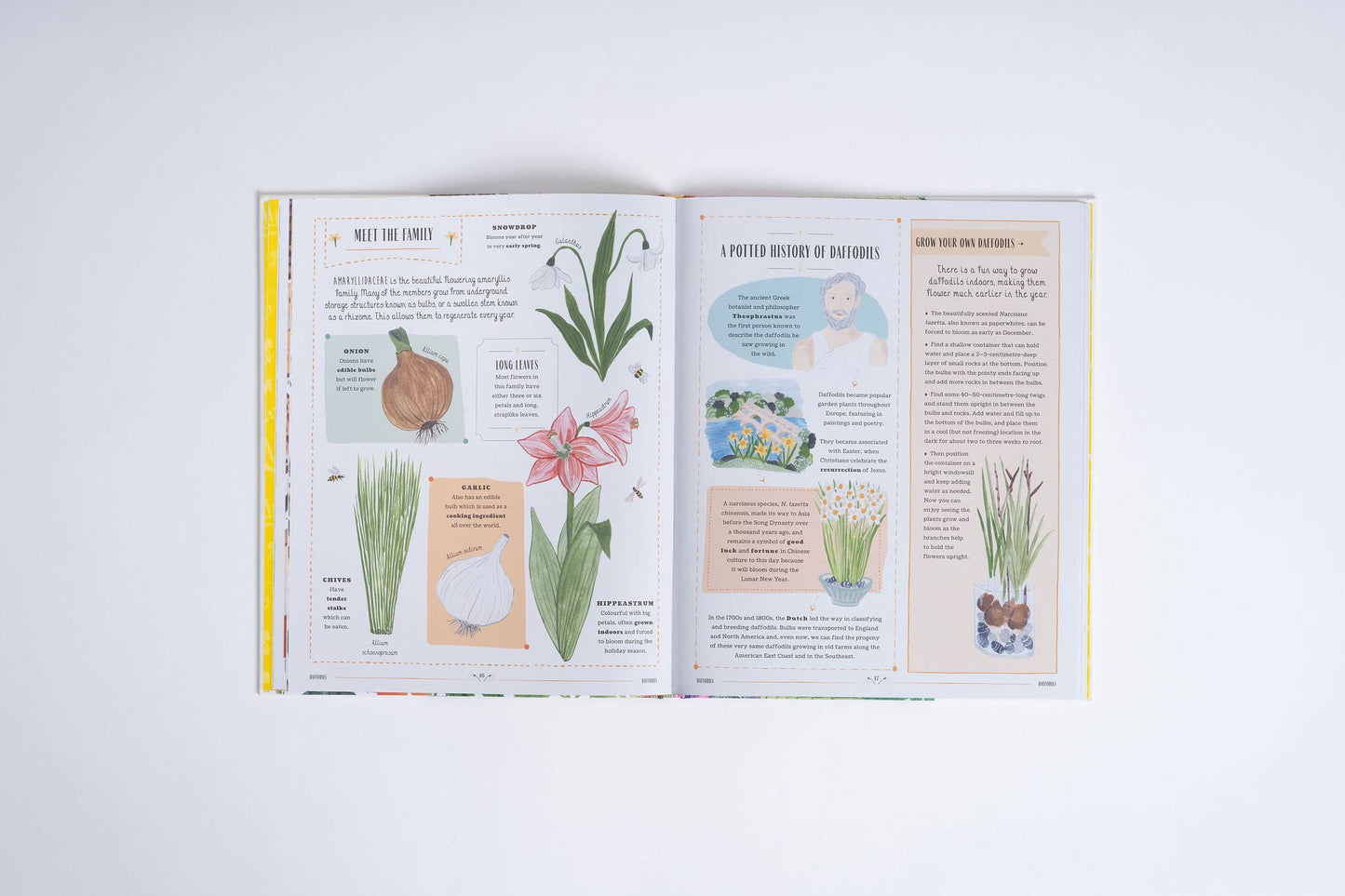 Grow: A Family Guide to Plants and How to Grow Them