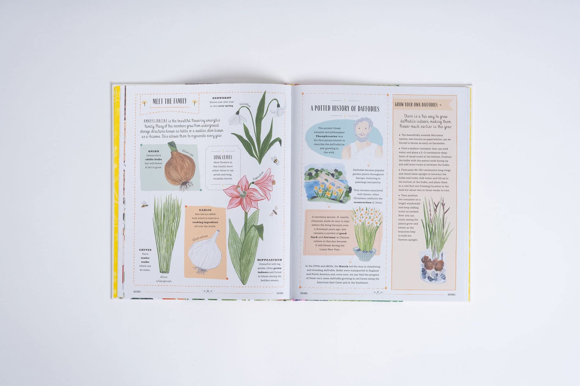 Grow: A Family Guide to Plants and How to Grow Them