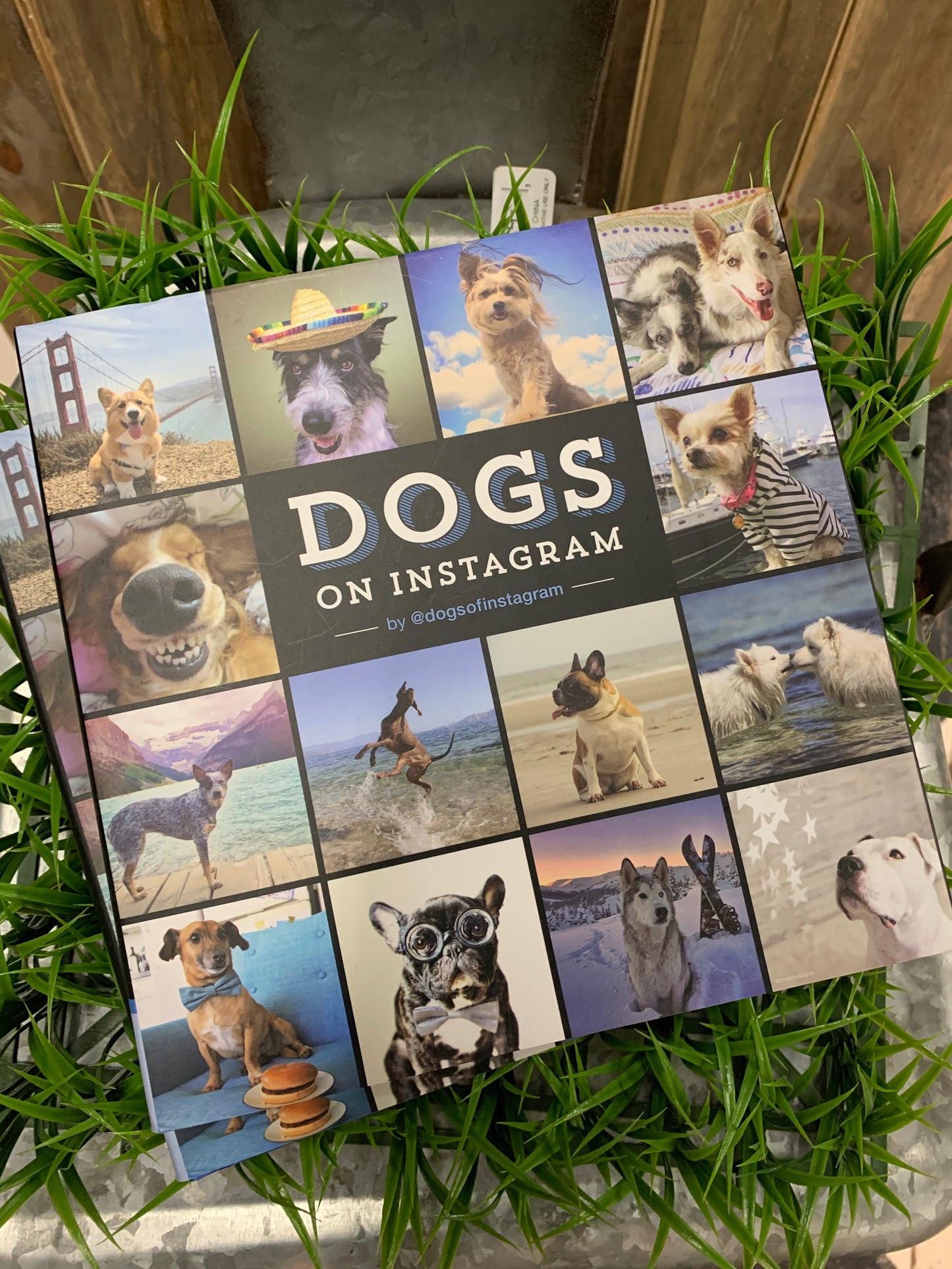 Dog lovers are a passionate bunch, and Instagram is the perfect platform for expressing their devotion. The curators behind @dogsofinstagram channel this passion perfectly in this delightful book, a must-have collection featuring over 400 of the best crowdsourced dog photographs from their wildly popular feed. For dog lovers by dog lovers, this eclectic compilation celebrates the full spectrum of things to love about our four-legged friends.