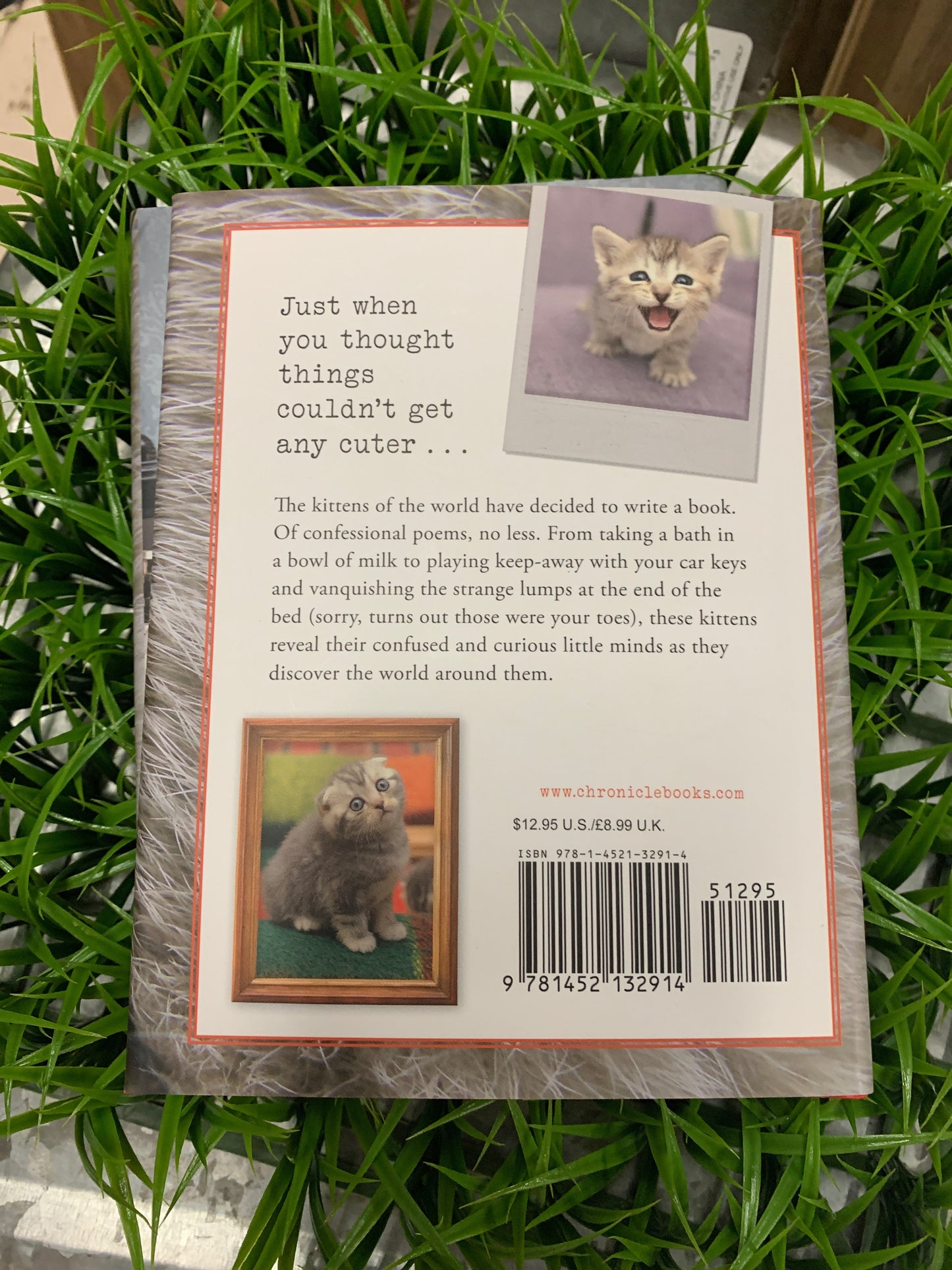 I Knead My Mommy is a book of confessional poems about the triumphs, trials, and daily discoveries of being a kitten. From climbing walls to claiming hearts, these little cats bare all in such instant classics as "And Then You Said 'No,'" "Ode to a Lizard I Didn't Know Is Also a Pet in This House," and "I Will Save You." With adorable photos of the poetic prodigies throughout, this volume gives readers a glimpse into their confused and curious feline minds as they encounter the world around them.