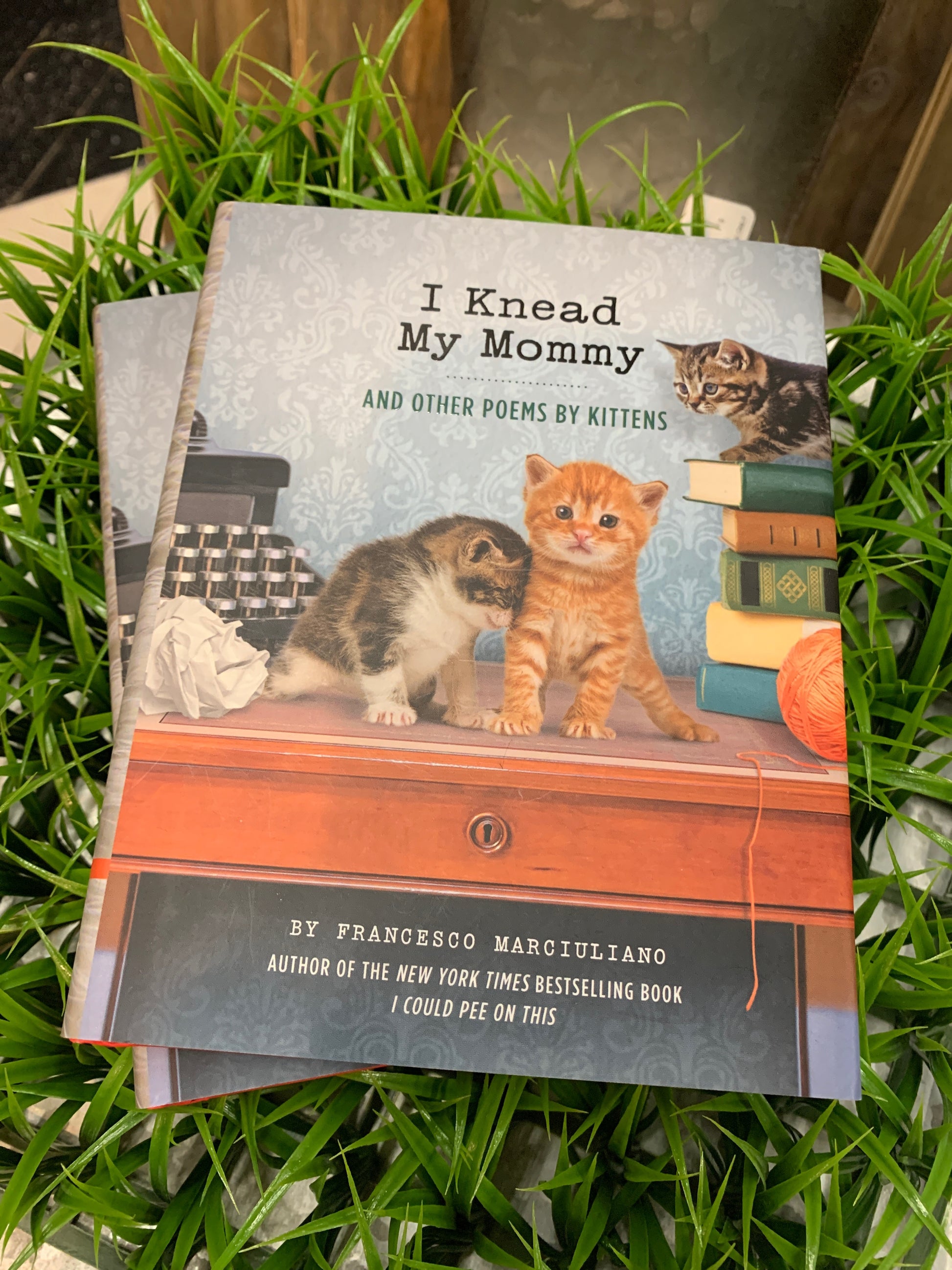 I Knead My Mommy is a book of confessional poems about the triumphs, trials, and daily discoveries of being a kitten. From climbing walls to claiming hearts, these little cats bare all in such instant classics as "And Then You Said 'No,'" "Ode to a Lizard I Didn't Know Is Also a Pet in This House," and "I Will Save You." With adorable photos of the poetic prodigies throughout, this volume gives readers a glimpse into their confused and curious feline minds as they encounter the world around them.