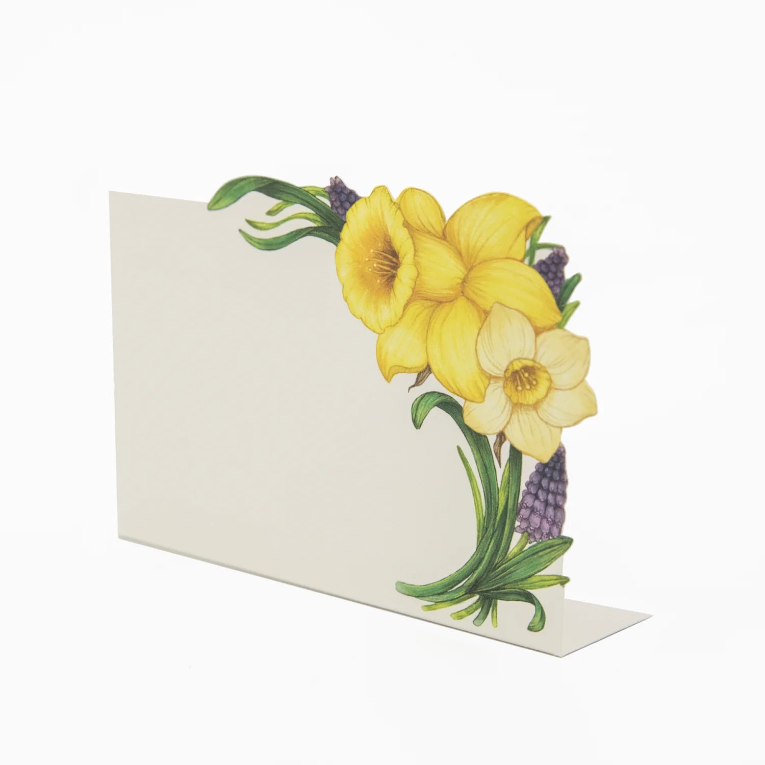 Daffodil Place Card Set