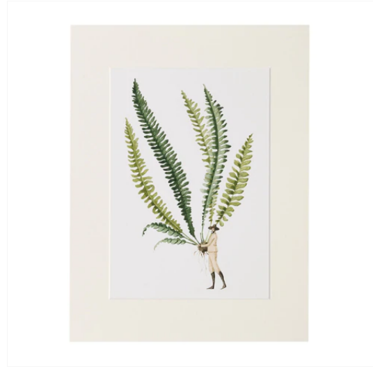 Hester And Cook Fabulous Ferns Print 1