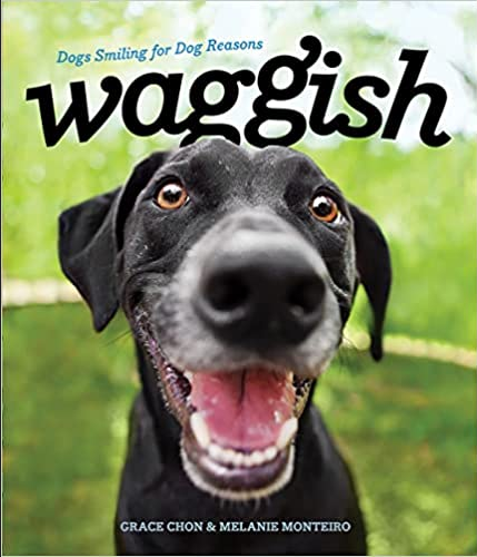 Waggish