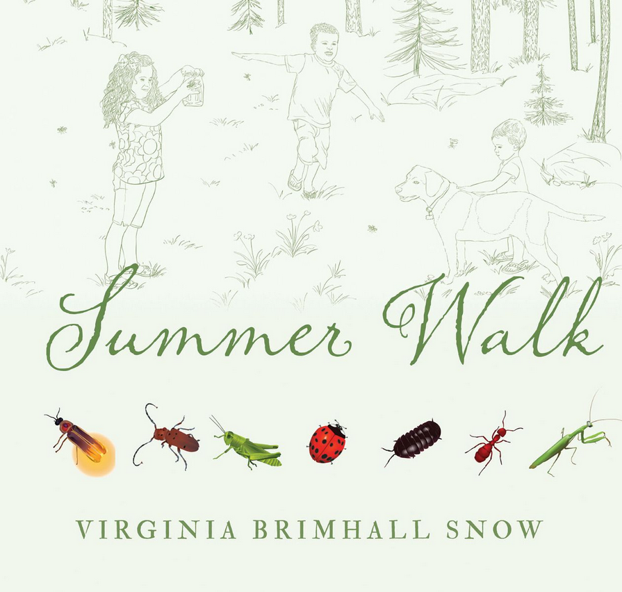 Summer Walk (Paperback)