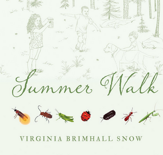 Summer Walk (Paperback)