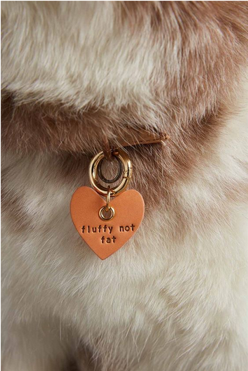 Leather Dog Collar Charm