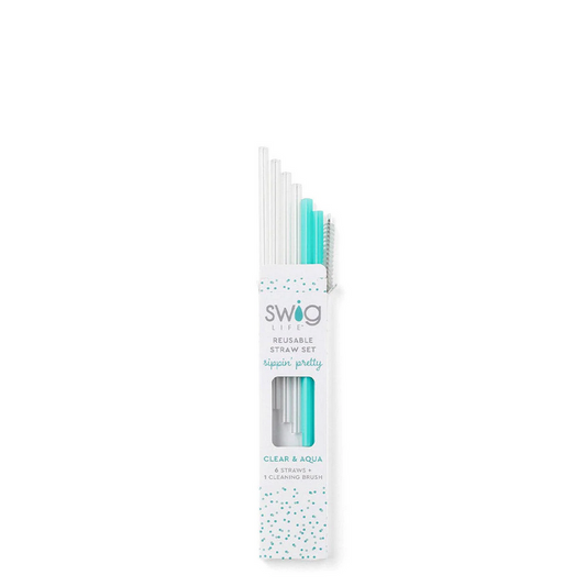 Clear And Aqua Reusable Straw Set (Short)